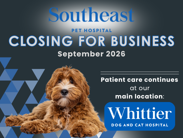 Important Announcement: Closure of Southeast Pet Hospital